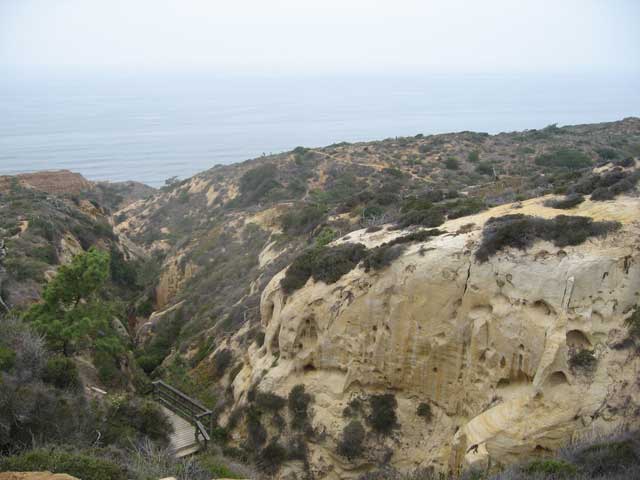 La Jolla Canyon